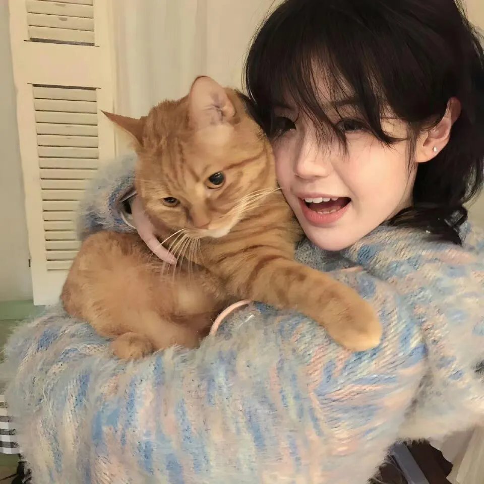 对比:肯·洛奇的生活和影片